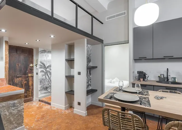 Charming 2 Bdr Old Town 公寓 尼斯